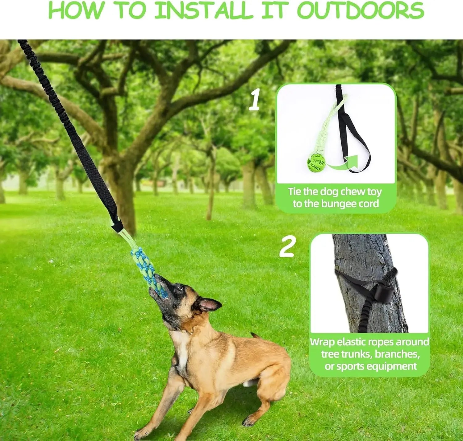 Cuerda Bungee Colgante para Perro – Juguete de Tira y Afloja Interactivo