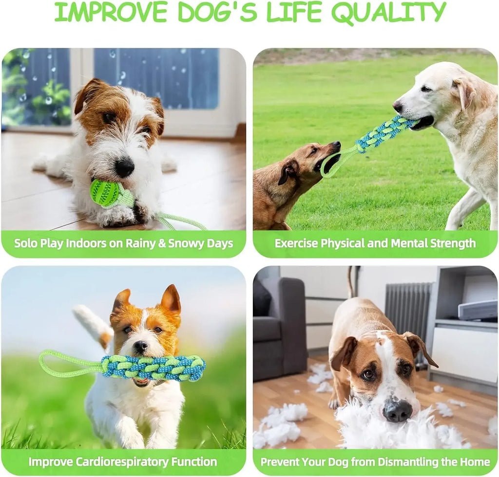 Cuerda Bungee Colgante para Perro – Juguete de Tira y Afloja Interactivo