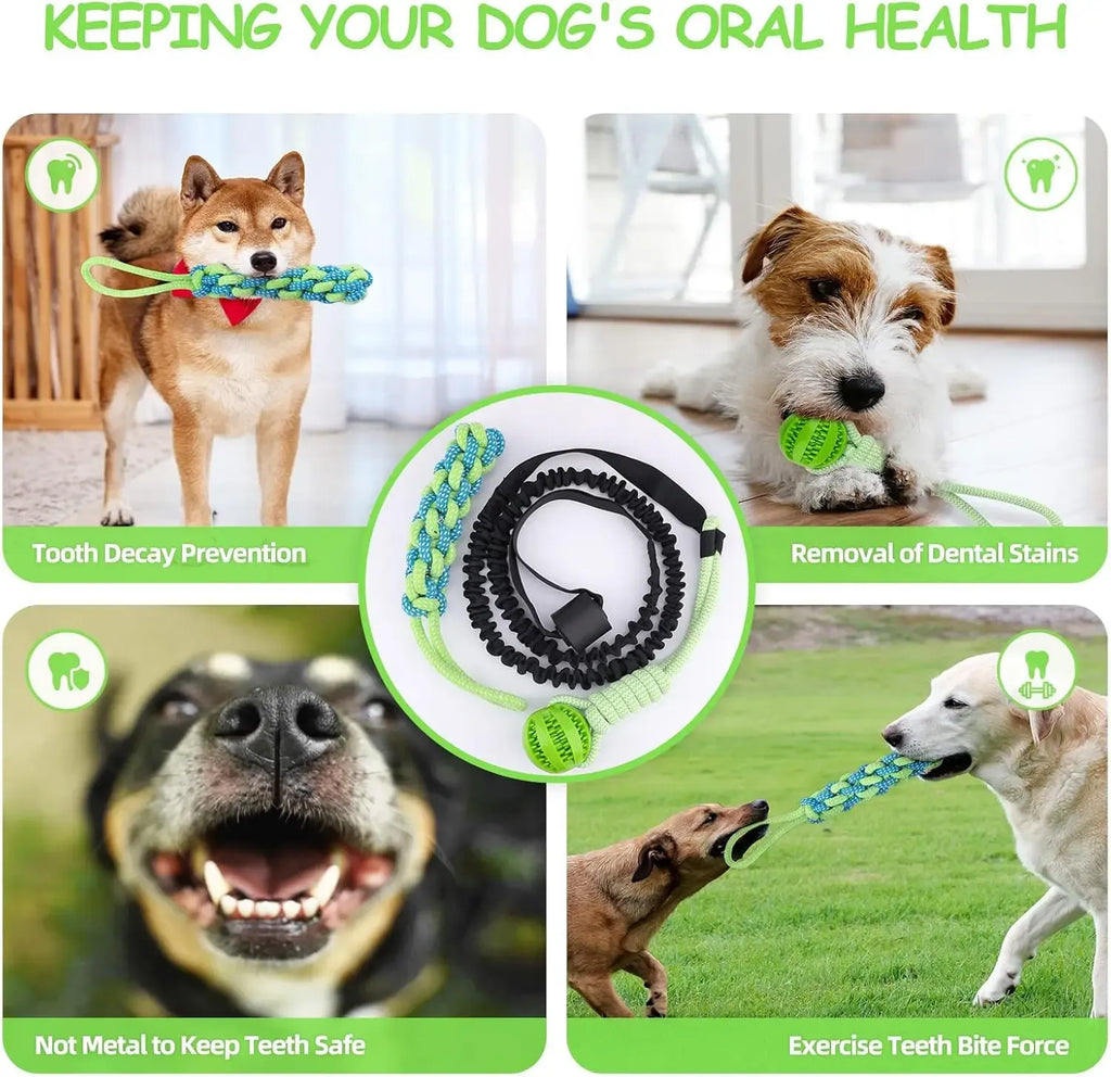 Cuerda Bungee Colgante para Perro – Juguete de Tira y Afloja Interactivo