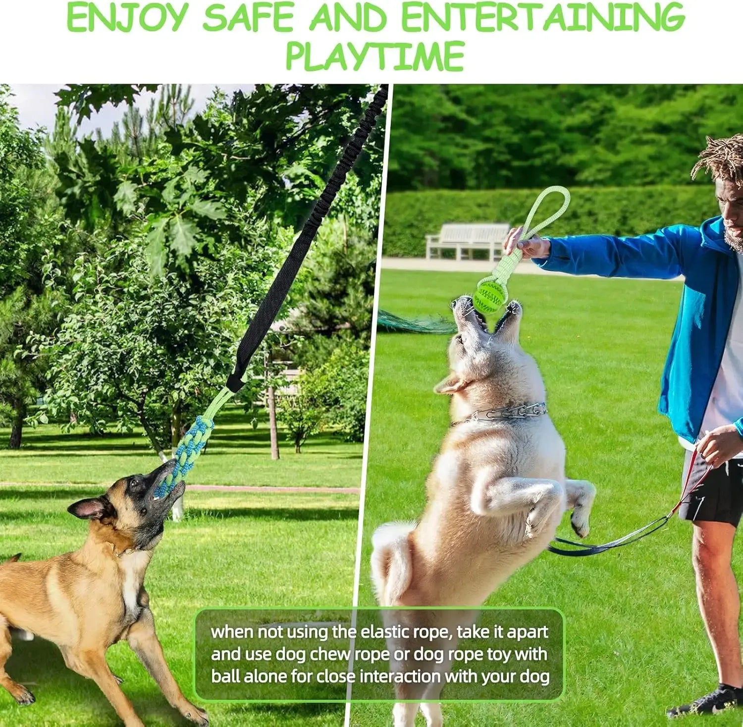 Cuerda Bungee Colgante para Perro – Juguete de Tira y Afloja Interactivo