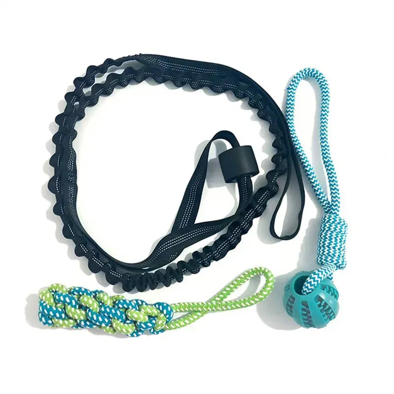 Cuerda Bungee Colgante para Perro – Juguete de Tira y Afloja Interactivo