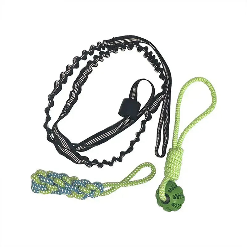 Cuerda Bungee Colgante para Perro – Juguete de Tira y Afloja Interactivo