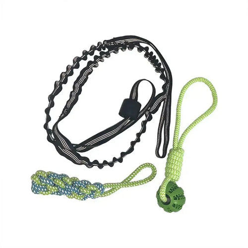 Cuerda Bungee Colgante para Perro – Juguete de Tira y Afloja Interactivo